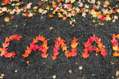 总配额下调却疯狂抢人？看懂加拿大这波&ldquo;精准筛选&rdquo;，全家低成本拿身份