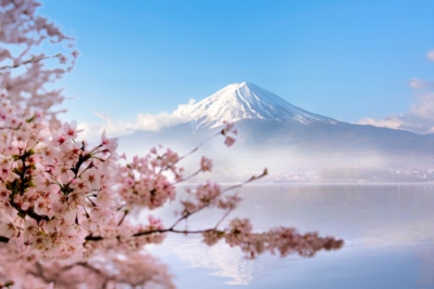 日本经营管理签新政正式生效！法案全解析！