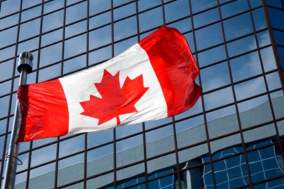 还在死磕EE高分？再不看这条&ldquo;低分捷径&rdquo;，2026年的红利就真的错过了！